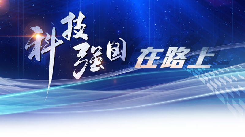 科技公司选择：从性能到合规的全面考量**